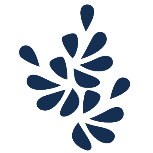 Body Wellness Products